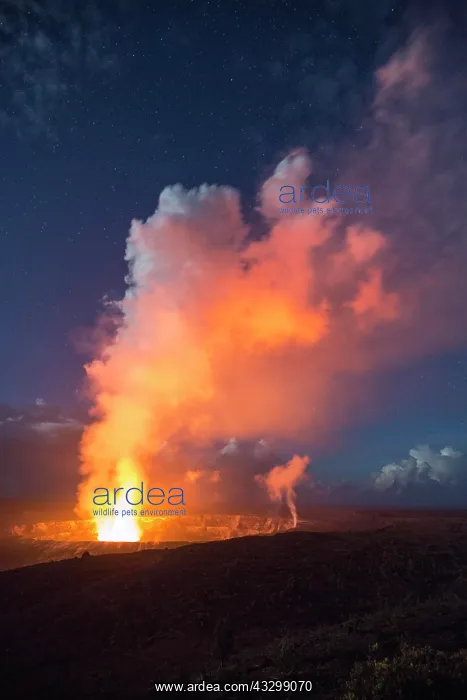  : Eruption, Halema?uma?u Crater, Kilauea Volcano