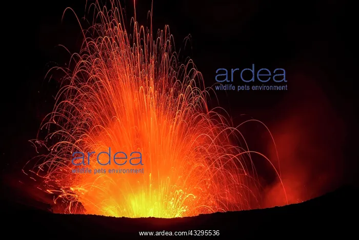  : Eruption, volcanic eruption, night view, volcano