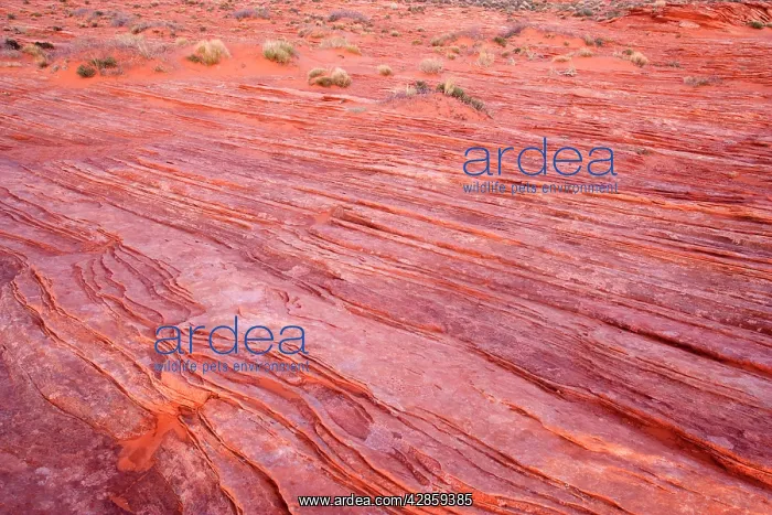 : Escalante cross-bedding - intricately overlapping : Escalante cross-bedding - intricately overlapping