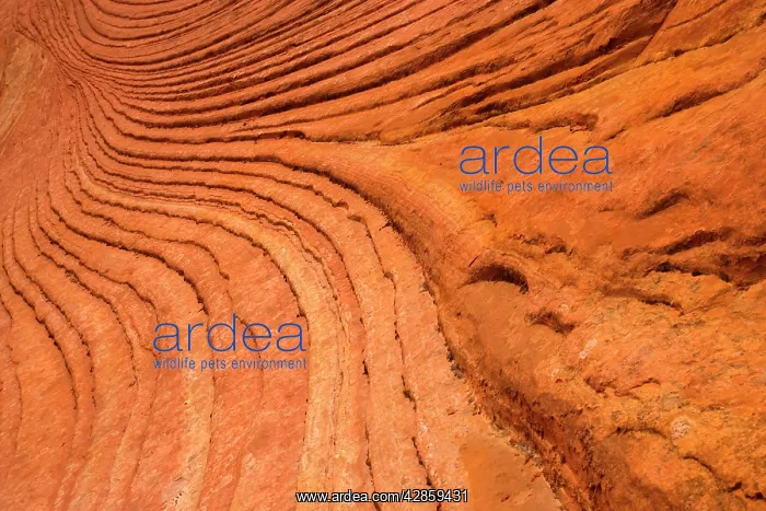 : Escalante cross-bedding - intricately overlapping : Escalante cross-bedding - intricately overlapping