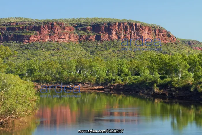 : Escarpment reflected in Victoria River : Escarpment reflected in Victoria River