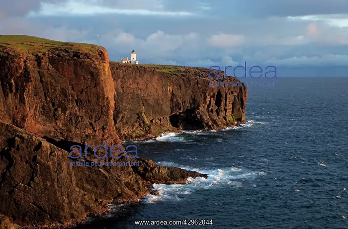 : Esha Ness cliffs and lighthouse along cliffs edge : Esha Ness cliffs and lighthouse along cliffs edge