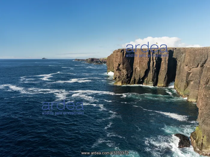 : Eshaness peninsula, shows a cross section : Eshaness peninsula, shows a cross section