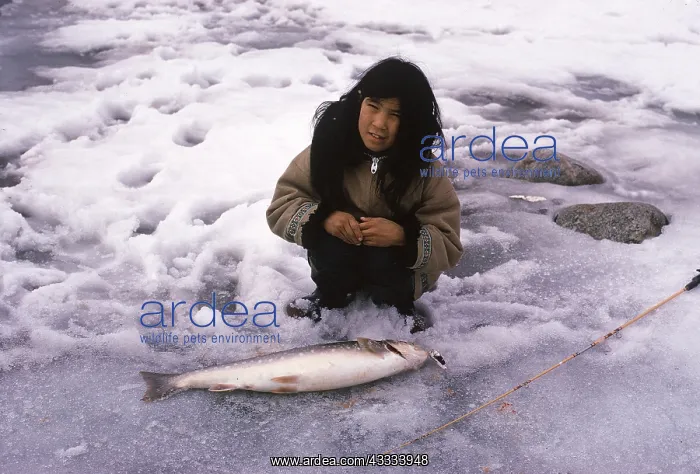 : Eskimo girl with just caught Arctic Char : Eskimo girl with just caught Arctic Char
