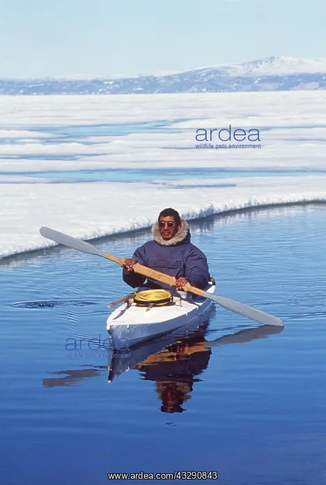 : Eskimo / Inuit hunter in skin kayak by ice floe : Eskimo / Inuit hunter in skin kayak by ice floe
