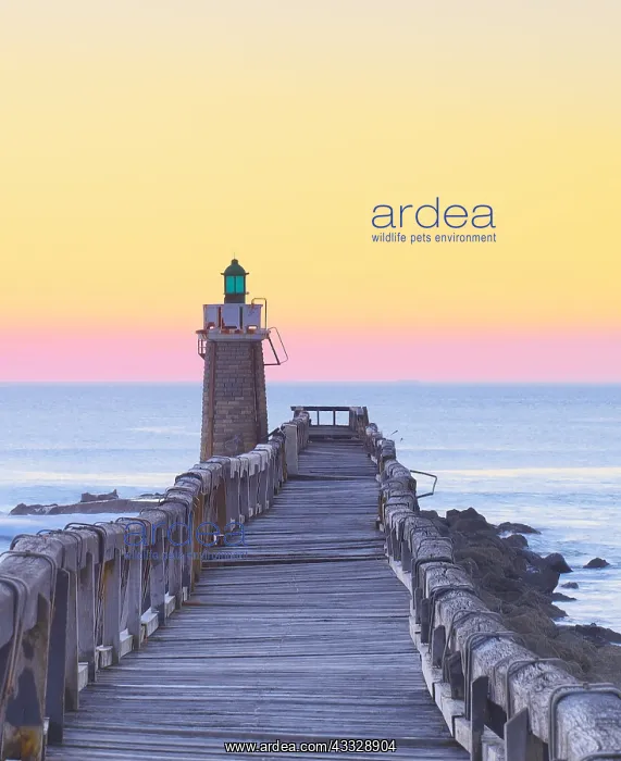 : Estacade, wooden pier and lighthouse at Capbreton : Estacade, wooden pier and lighthouse at Capbreton
