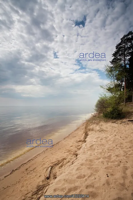 : Estonia, Northeastern Estonia, Kauksi, view : Estonia, Northeastern Estonia, Kauksi, view