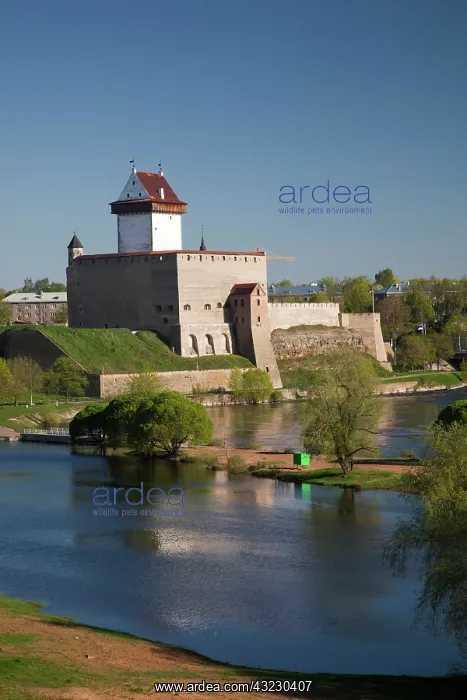 : Estonia, Northeastern Estonia, Narva, Narva : Estonia, Northeastern Estonia, Narva, Narva