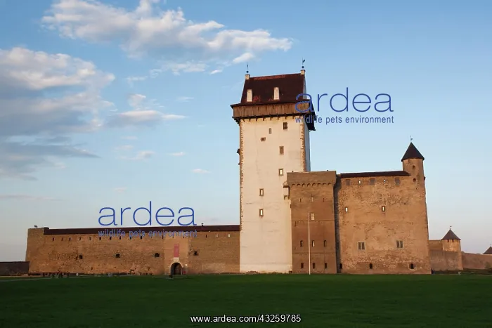 : Estonia, Northeastern Estonia, Narva, Narva : Estonia, Northeastern Estonia, Narva, Narva