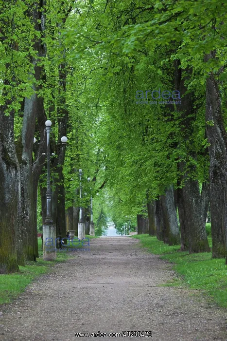 : Estonia, Southeastern Estonia, Voru, Kateriina : Estonia, Southeastern Estonia, Voru, Kateriina