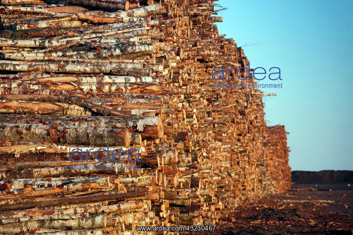 : Estonia, Southwestern Estonia, Parnu, wood : Estonia, Southwestern Estonia, Parnu, wood