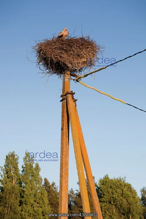 : Estonia, Southwestern Estonia, Vorts Jarv : Estonia, Southwestern Estonia, Vorts Jarv