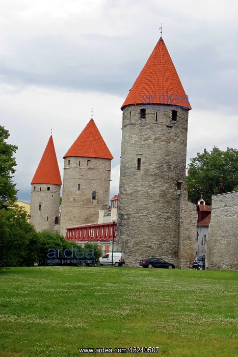 : Estonia, Tallinn. The historic walls and : Estonia, Tallinn. The historic walls and