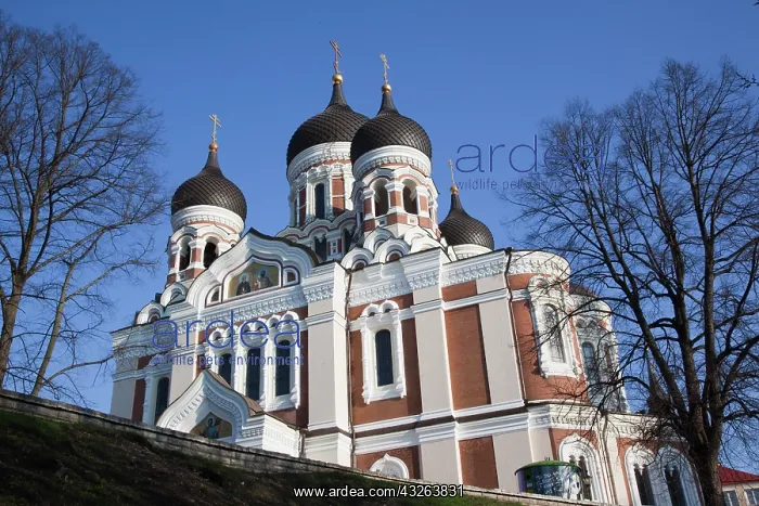 : Estonia, Tallinn, Old Town, Toompea, Alexander : Estonia, Tallinn, Old Town, Toompea, Alexander