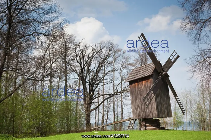 : Estonia, Tallinn, Rocca Al Mare village : Estonia, Tallinn, Rocca Al Mare village