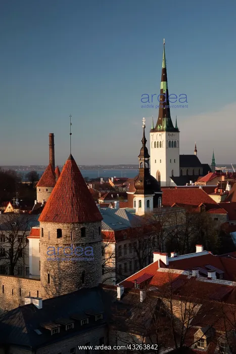 : Estonia, Tallinn, Toompea area, elevated : Estonia, Tallinn, Toompea area, elevated