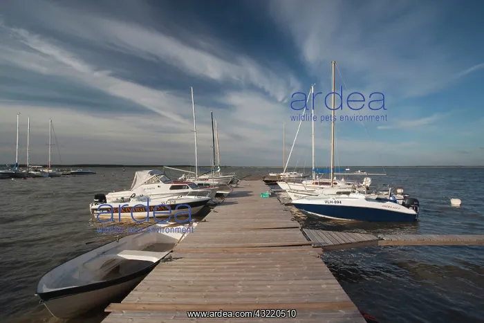 : Estonia, Western Estonia, Haapsalu, Haapsalu : Estonia, Western Estonia, Haapsalu, Haapsalu