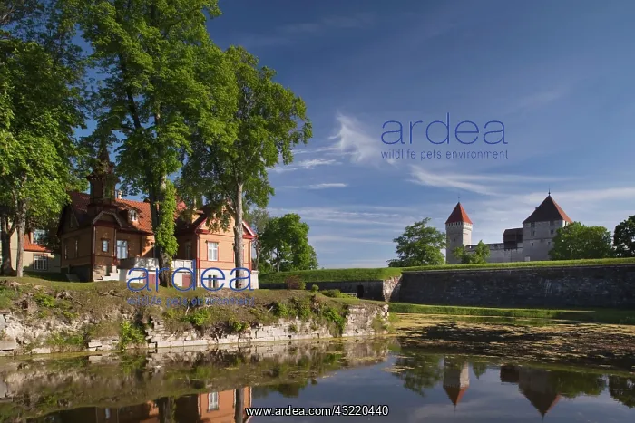 : Estonia, Western Estonia Islands, Saaremaa : Estonia, Western Estonia Islands, Saaremaa