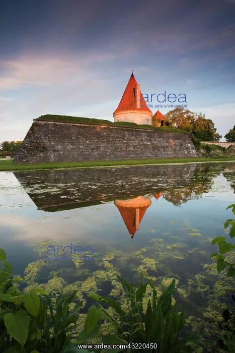 : Estonia, Western Estonia Islands, Saaremaa : Estonia, Western Estonia Islands, Saaremaa