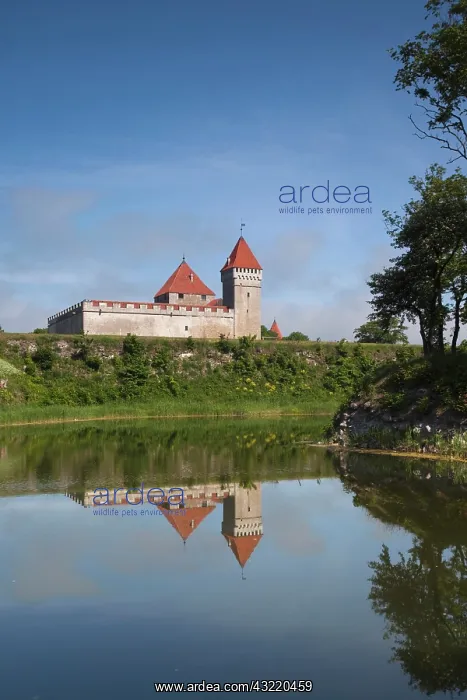 : Estonia, Western Estonia Islands, Saaremaa : Estonia, Western Estonia Islands, Saaremaa