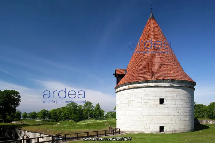 : Estonia, Western Estonia Islands, Saaremaa : Estonia, Western Estonia Islands, Saaremaa