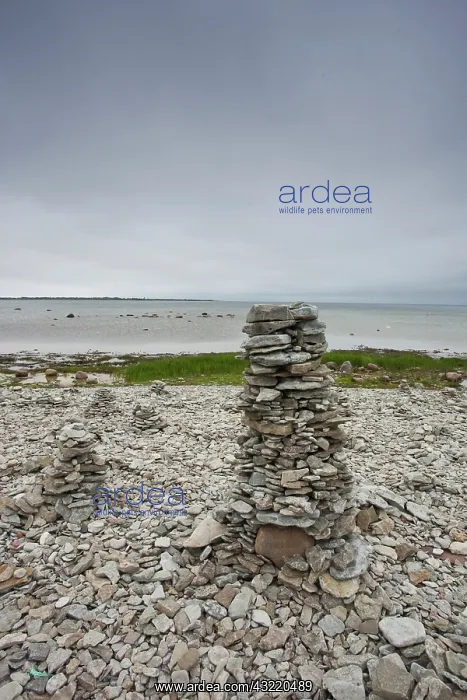: Estonia, Western Estonia Islands, Saaremaa : Estonia, Western Estonia Islands, Saaremaa