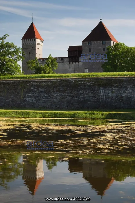: Estonia, Western Estonia Islands, Saaremaa : Estonia, Western Estonia Islands, Saaremaa