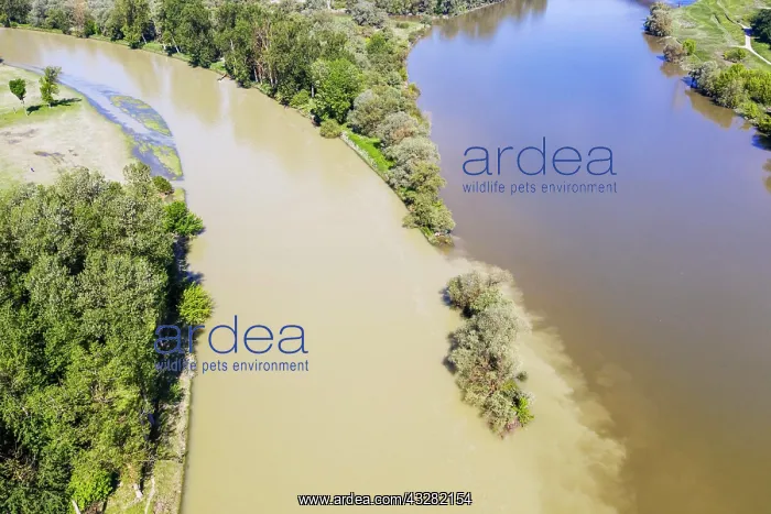 : Estuary of the Isar, left, into the Danube, Estuary : Estuary of the Isar, left, into the Danube, Estuary