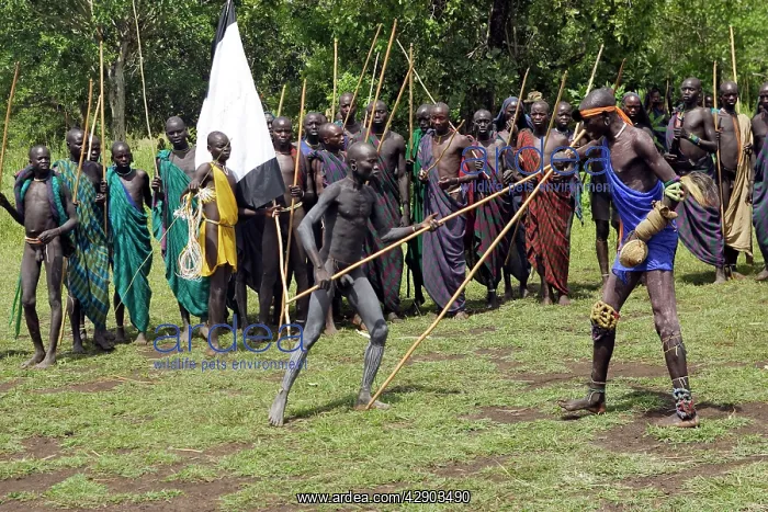 : Ethiopia - Ceremony of Donga among Surma : Ethiopia - Ceremony of Donga among Surma