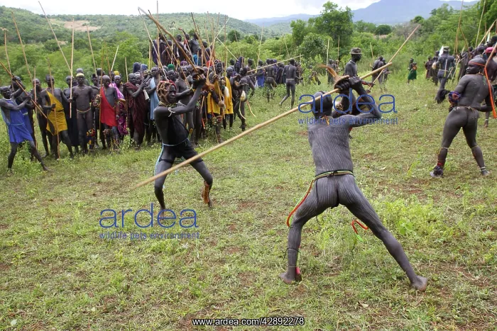 : Ethiopia - ceremony of Donga among Surma: tribe : Ethiopia - ceremony of Donga among Surma: tribe