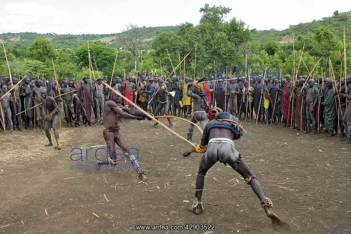 : Ethiopia - Ceremony of Donga among Surma: tribe : Ethiopia - Ceremony of Donga among Surma: tribe