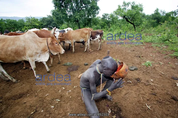: Ethiopia - child surma: tribe of south west Ethiopia : Ethiopia - child surma: tribe of south west Ethiopia