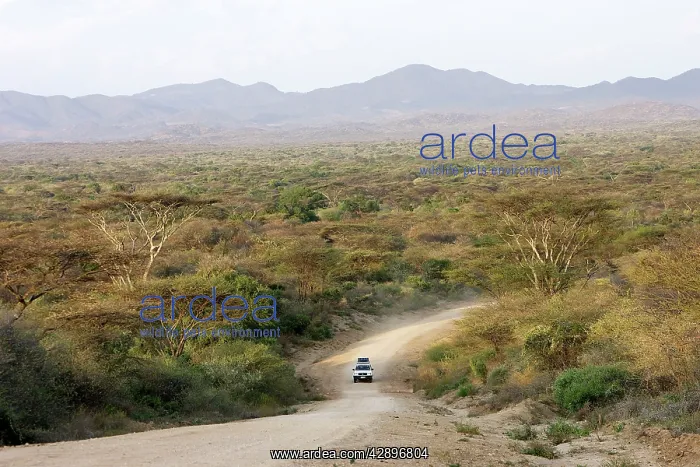 : Ethiopia - country of Hamer tribe - lower basin of Omo River : Ethiopia - country of Hamer tribe - lower basin of Omo River