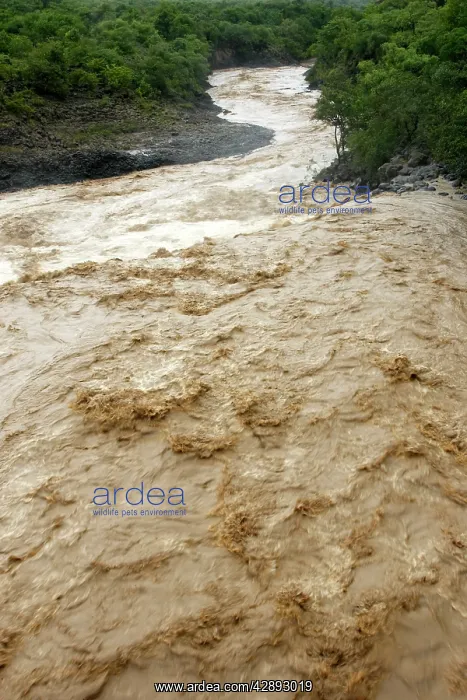 : Ethiopia - floods of the Omo River in the south of Ethiopia : Ethiopia - floods of the Omo River in the south of Ethiopia