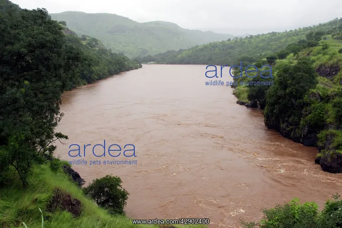: Ethiopia - Floods of the Omo River in the south of Ethiopia : Ethiopia - Floods of the Omo River in the south of Ethiopia