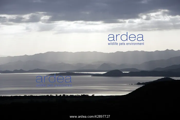 : Ethiopia - Lake Abaya near Arba Minch : Ethiopia - Lake Abaya near Arba Minch