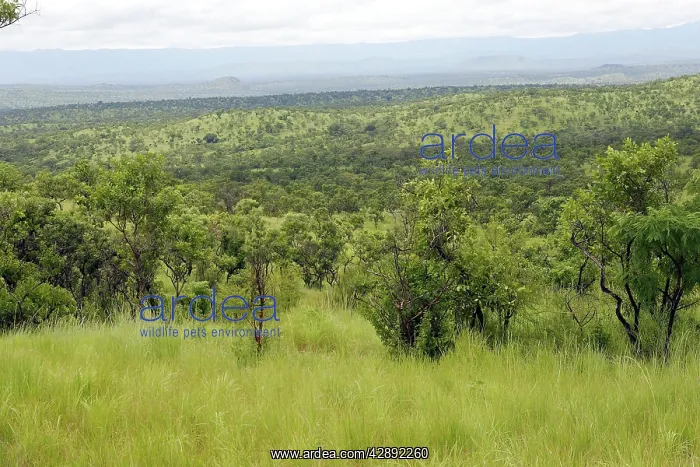 : Ethiopia - Landscape view of the outer Region of : Ethiopia - Landscape view of the outer Region of
