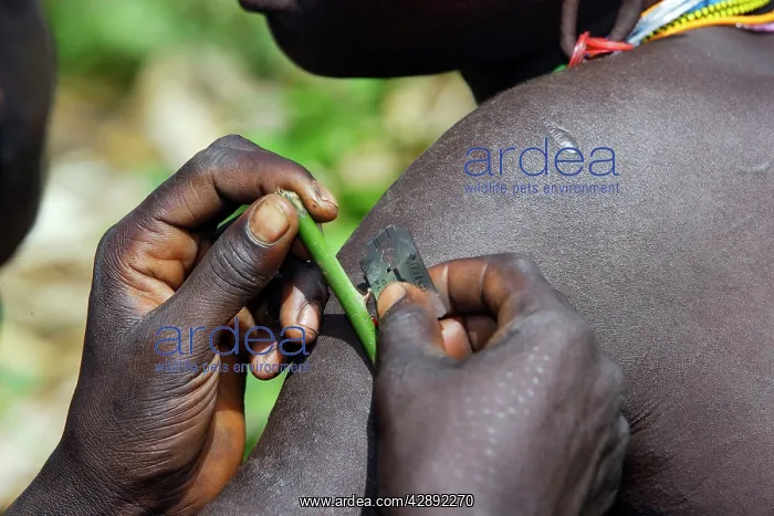 : Ethiopia - scarification ritual among Surma: tribe : Ethiopia - scarification ritual among Surma: tribe