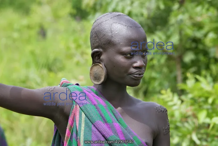 : Ethiopia - surma girl spectator during the Ceremony : Ethiopia - surma girl spectator during the Ceremony