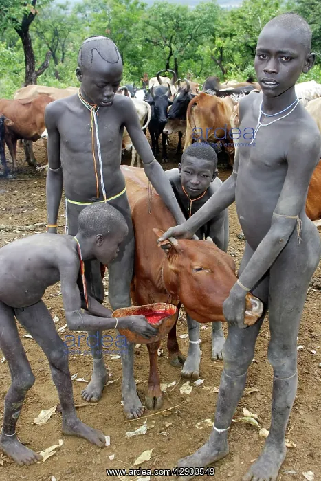 : Ethiopia - Surma: tribe of south west Ethiopia : Ethiopia - Surma: tribe of south west Ethiopia