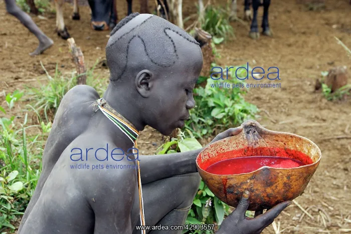 : Ethiopia - Surma: tribe of south west Ethiopia : Ethiopia - Surma: tribe of south west Ethiopia