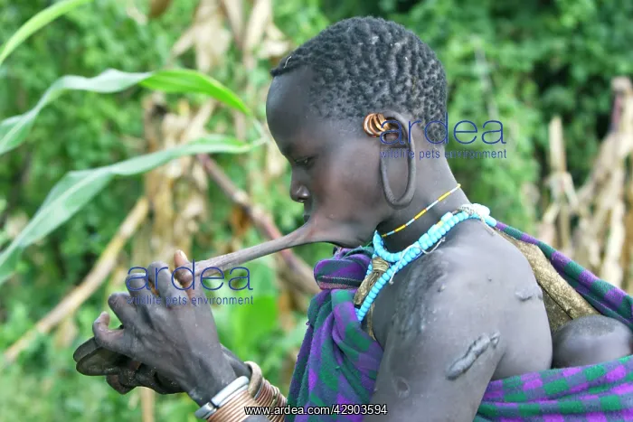 : Ethiopia - Surma Woman: tribe of south west Ethiopia : Ethiopia - Surma Woman: tribe of south west Ethiopia