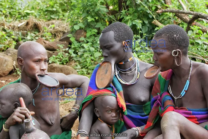 : Ethiopia - Surma Woman: tribe of south west Ethiopia : Ethiopia - Surma Woman: tribe of south west Ethiopia