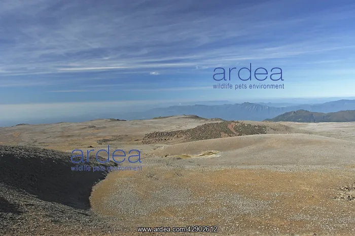 : Ethiopia - Tableland of Sanetti ( 4000 m altitude : Ethiopia - Tableland of Sanetti ( 4000 m altitude