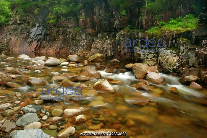 : Etive river canyon - water flowing over red rocks : Etive river canyon - water flowing over red rocks