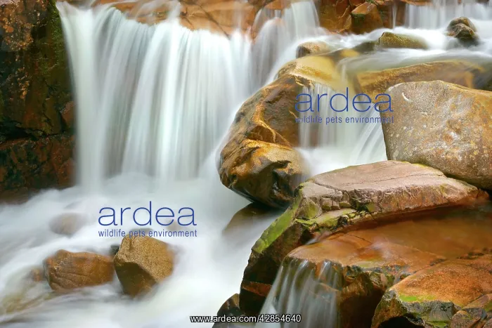 : Etive river cascades - water flowing over red rocks : Etive river cascades - water flowing over red rocks