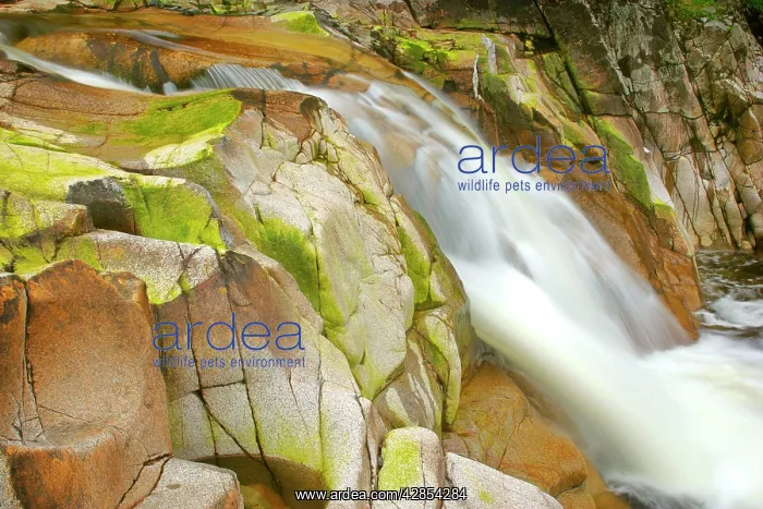 : Etive river waterfall - water flowing down nearly : Etive river waterfall - water flowing down nearly