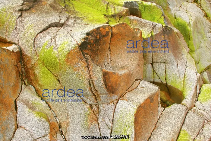 : Etive riverbed - dried off riverbed with red rocks : Etive riverbed - dried off riverbed with red rocks