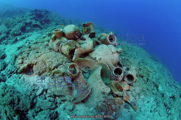 : Etruscan Amphora in a protected archaeological : Etruscan Amphora in a protected archaeological