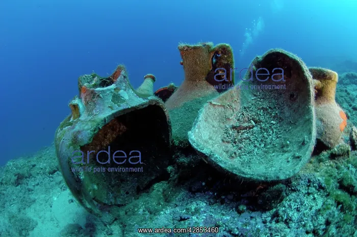 : Etruscan Amphora in a protected archaeological : Etruscan Amphora in a protected archaeological